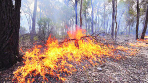 Buloke residents warned