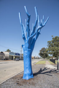 Next steps for Nyah’s revival