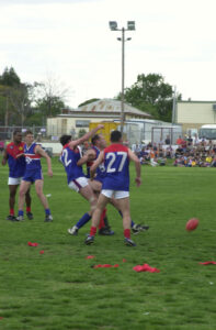 Footy Finals Flashback-Part three 2001