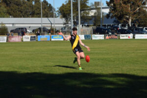 Tigers rule the Garden