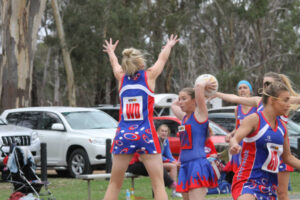 Tyntynder too strong for Dees