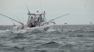 Annual migration starts early