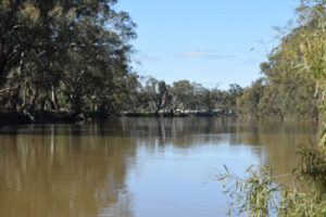 Basin plan projects dial ‘on the red’, says MDBA