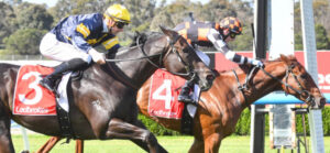 Budding Tycoon on the rise