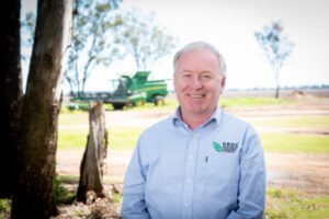 Looking for grain brains