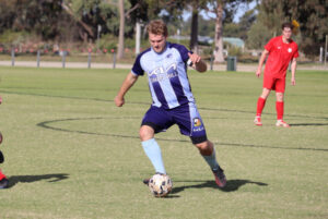 Swans fly south for weekend