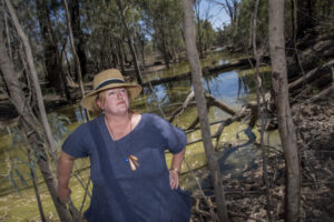 Emissions study back in budget