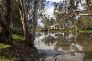 From flood plan to water flush