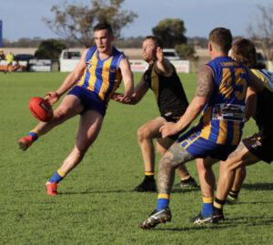 Tigers maul wounded Eagles