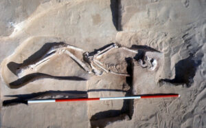 Explain Mungo remains mess, says Federal Government