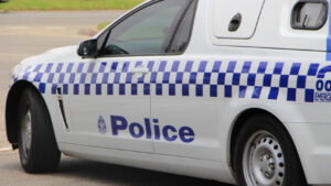 Man accused of string of burglaries