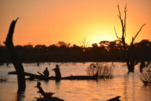 Season announced for 2022 duck hunting