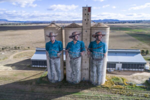 Big vision for silo art
