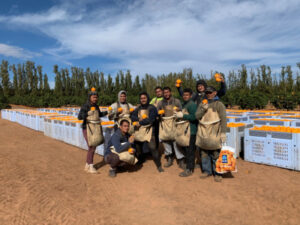 Pacific workers welcomed back to Mallee fruit farm