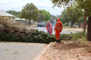 Strong winds spark tree warning