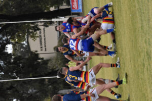 Tyntynder stretch winning run to four with finals in sight