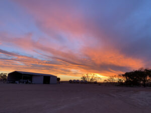 Blue green algae alert