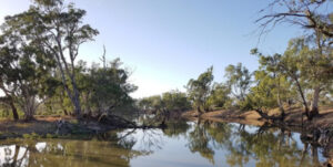 River plan made a difference to environment, says MDBA