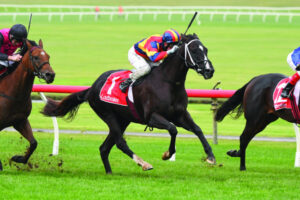 Mildura’s cup set to exceed