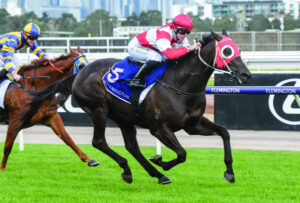 Mighty Maddy claims first Flemington win