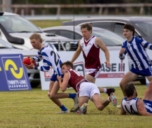 Roos pluck Swan feathers