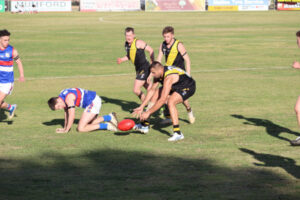 Tigers eleventh heaven