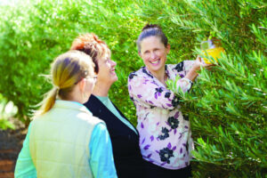 Stay vigilant on fruit fly