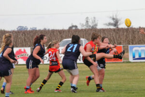 Tigers push for finals berth