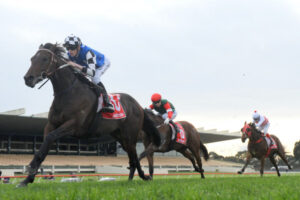 Plein Ciel all the rage for Swan Hill Cup