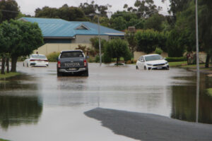 Drainage study released