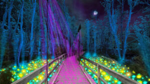 Council project in the spotlight