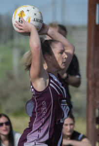 Heavyweights measure up