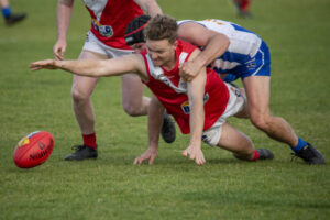 Lions and Tigers looking for an edge