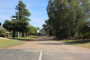 Council looks to seal street