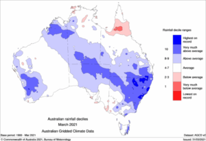 ‘Normal’ rain set to return
