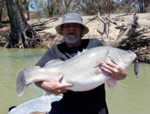 Christmas cod on the chew
