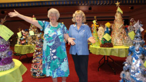 Forest cleared for Christmas