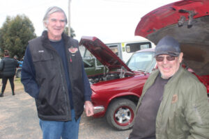 That’ll do, pigs: Nandaly comes alive for porcine full-bloods