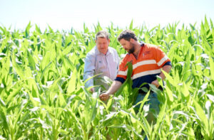 Planting the seed at home