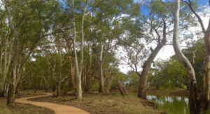 Southern trail complete