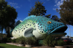 A fish called Arnold