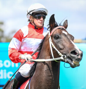 Hobson’s horses win big before holidays