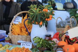 Karinie St market is on this Sunday