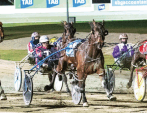 Malcolms Rhythm close to a record at Cup