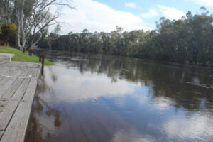 Taskforce testing floodwater samples