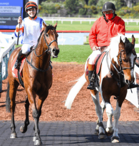 Madison to make her mark in Ballarat