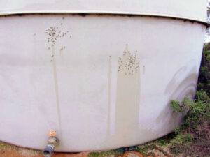 “Reckless stupid and idiotic”: police condemn shooting 