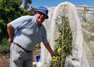 Protection needed as fruit fly threat rises