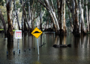 Balranald Shire update