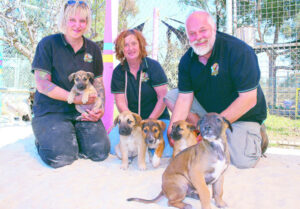 Future is bright for ‘Mystic Five’